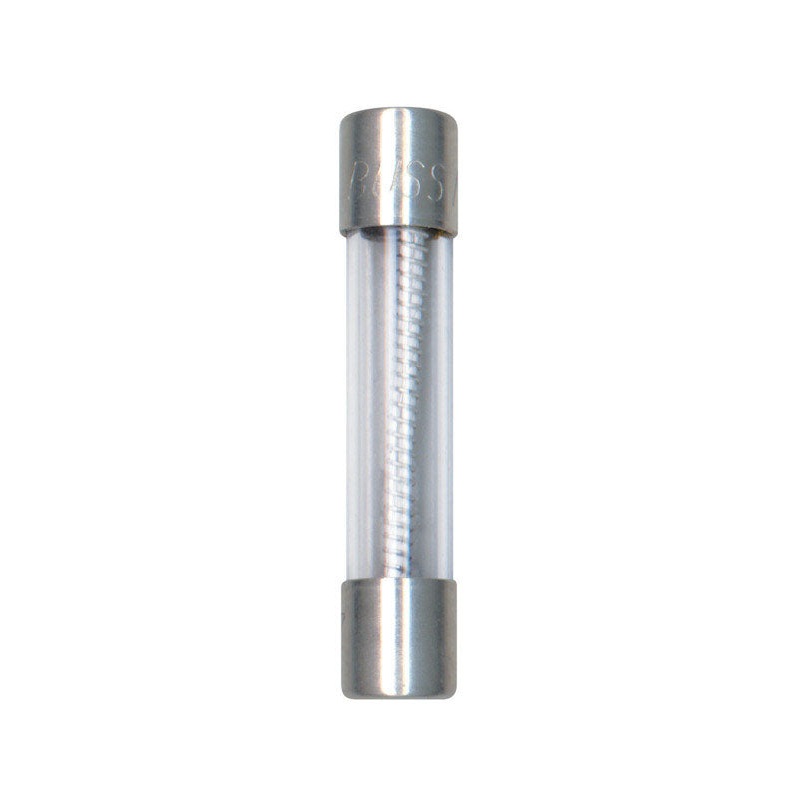 Bussmann Time Delay Glass Fuse 10 amps 250 volts 1/4 in. Dia. x 1-1/4 in. L 2 pk For Electronic Ci