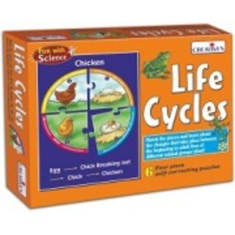 Creative’s – Life Cycles