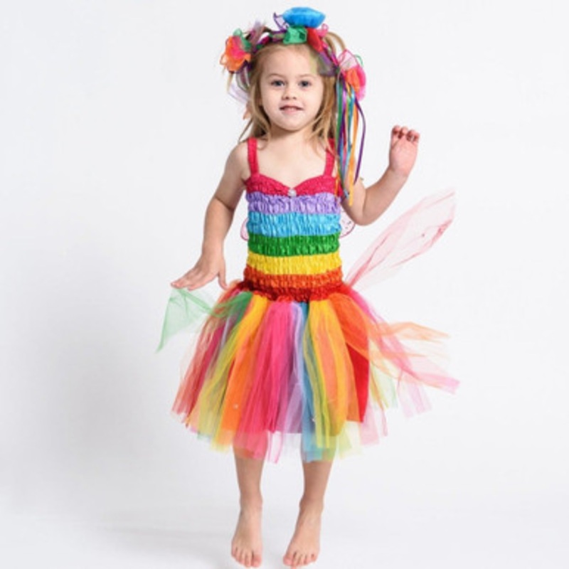 Fairy Girls – Friendship Fairy Dress Rainbow
