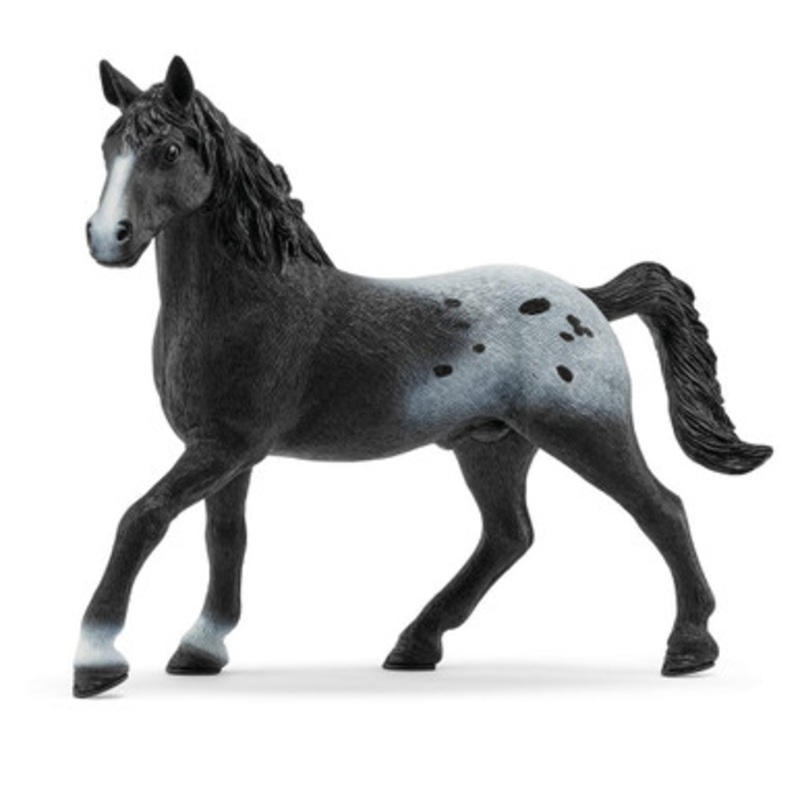 Schleich Horses – Knappstrupper Stallion Limited Edition 72197