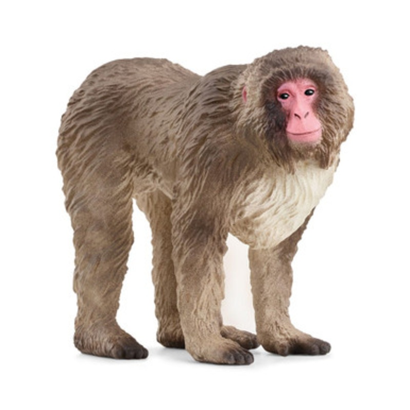 Schleich Wild Life – Japanese Macaque 14871