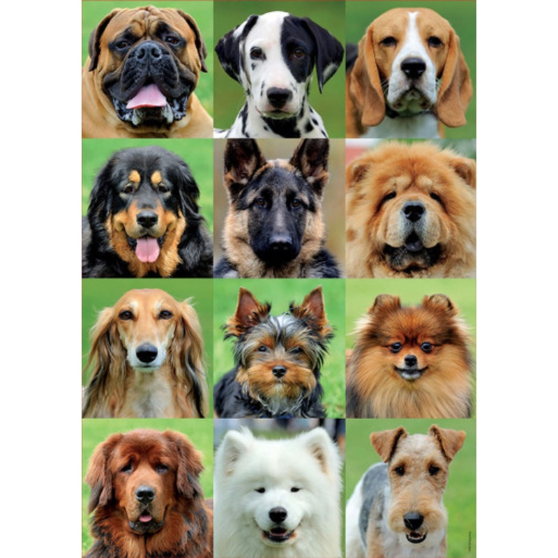 Educa 500pc – Dogs Collage Puzzle
