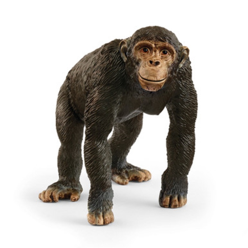 Schleich – Chimpanzee 14883