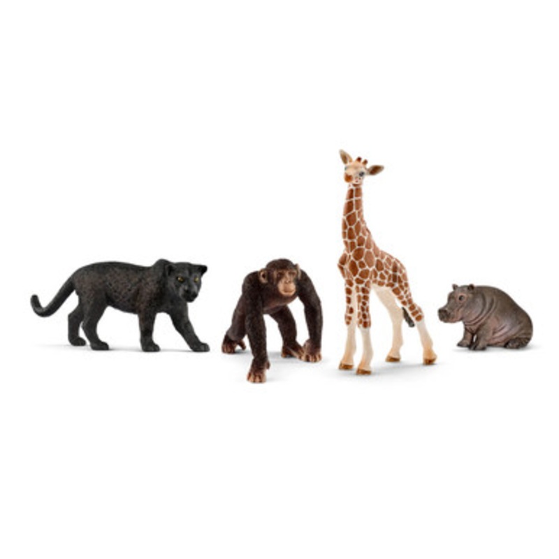 Schleich Wild Life – Wildlife Safari Starter Set 72162