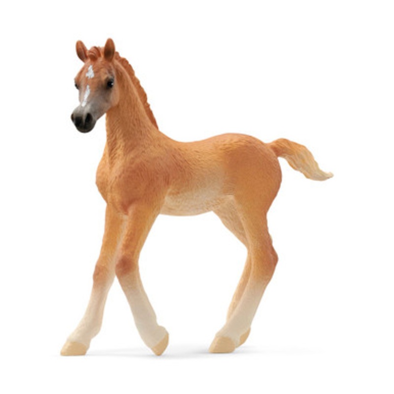 Schleich Horses – Arabian Foal 13984