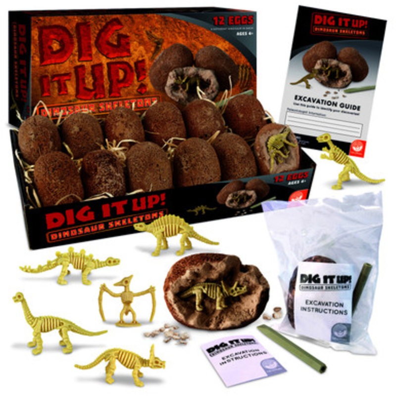 Dig It Up! Dinosaur Skeleton