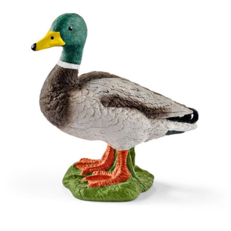 Schleich Farm World – Drake 13824