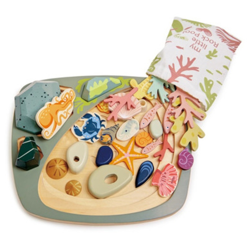 Tender Leaf Toys – My Little Rock Pool