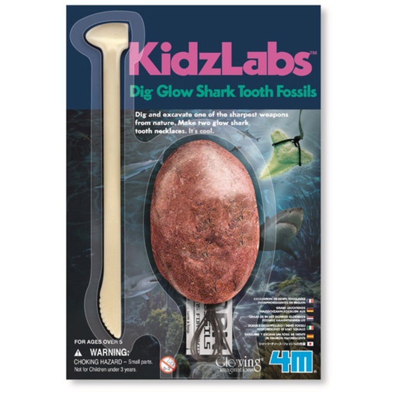 4M – KidzLabs – Shark Tooth Fossil