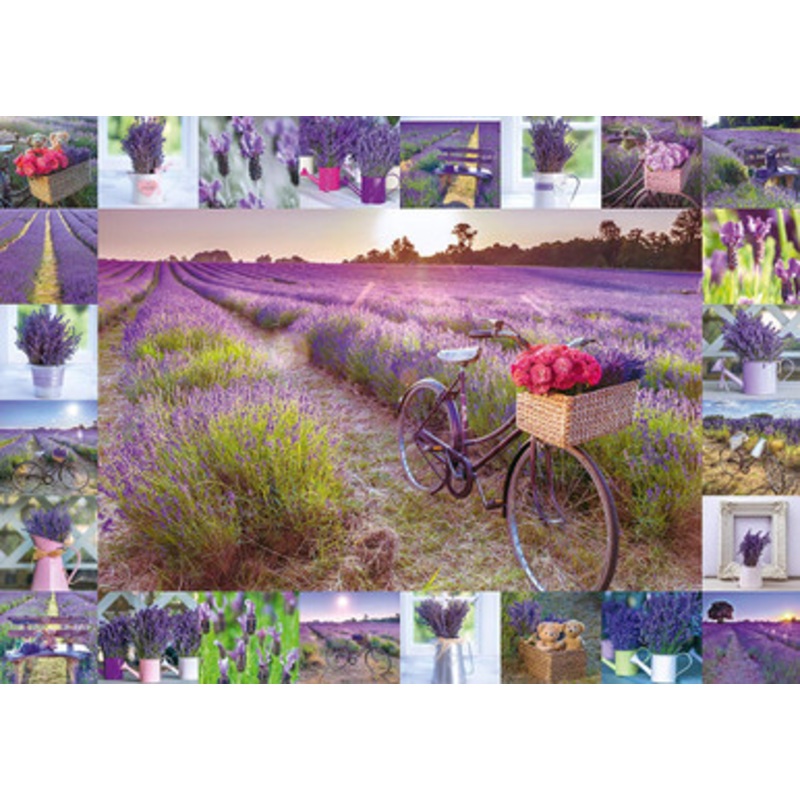 Schmidt 1000pc – Assfa Frank – The Scent Of Lavender Puzzle