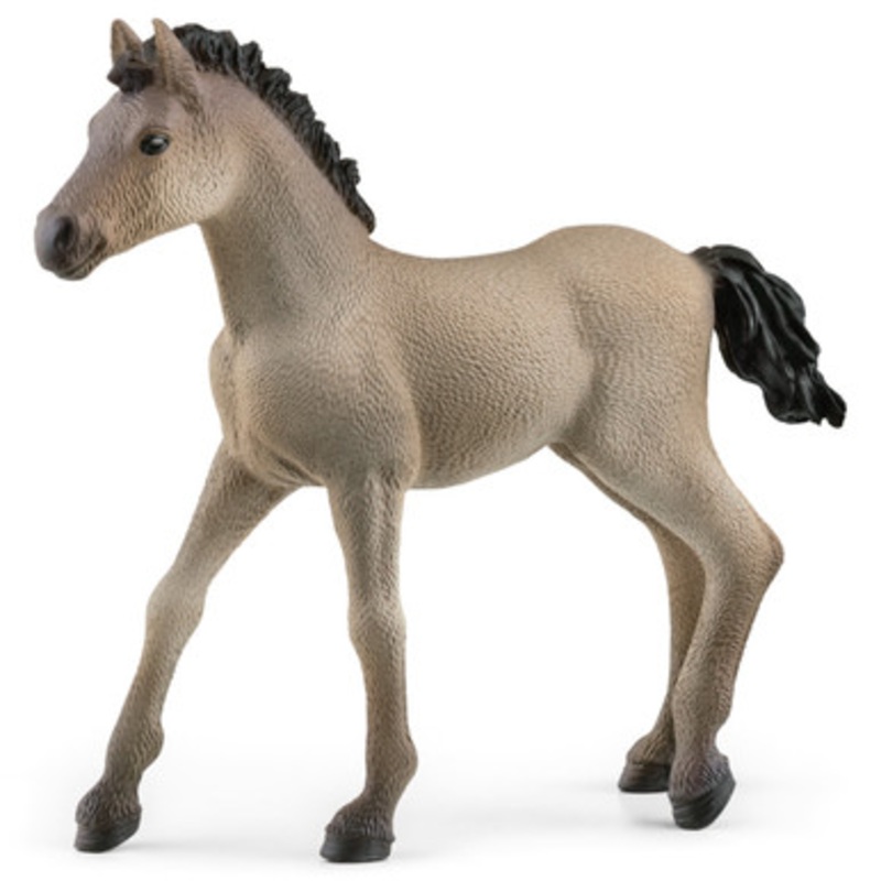 Schleich – Criollo Definitivo Foal