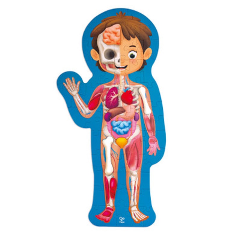 Hape – Human Body Puzzle