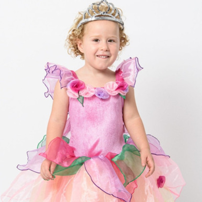 Fairy Girls – Paris Daisy Fairy Dress – Pink