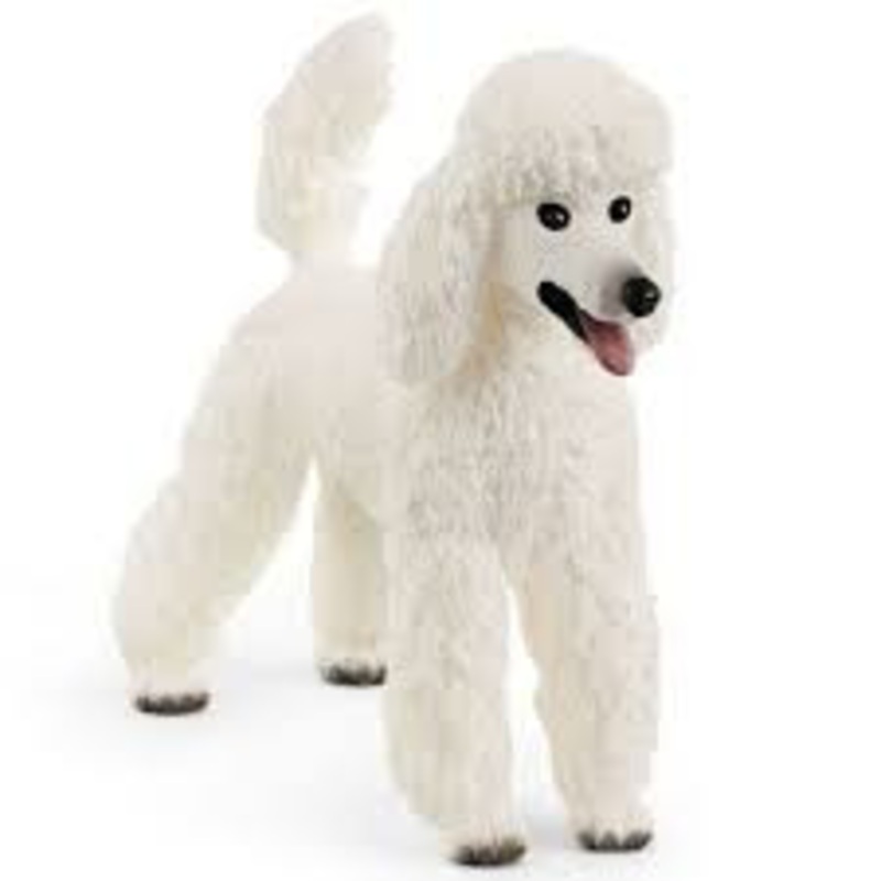 Schleich – Poodle 13917