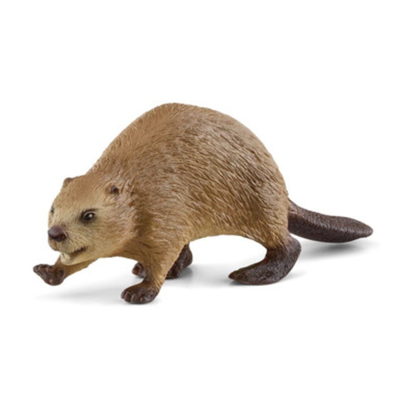 Schleich – Beaver | 14855
