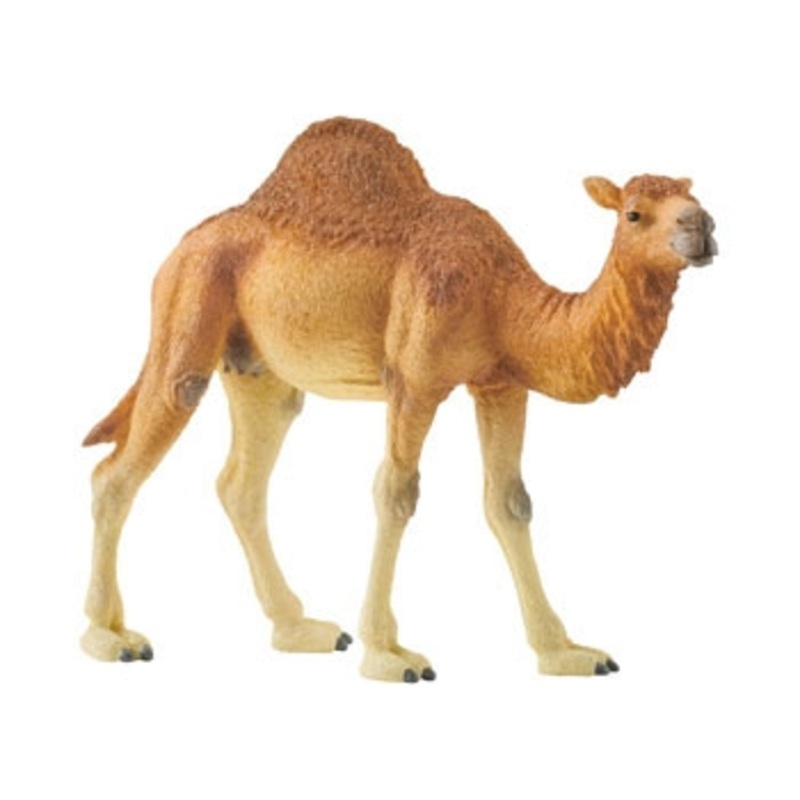 Schleich – Dromedary