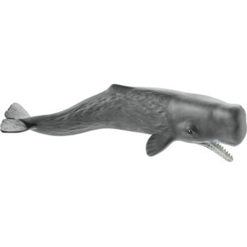 Schleich – Sperm Whale