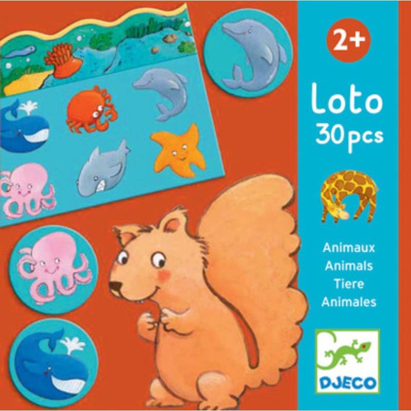 Djeco – Animals Loto