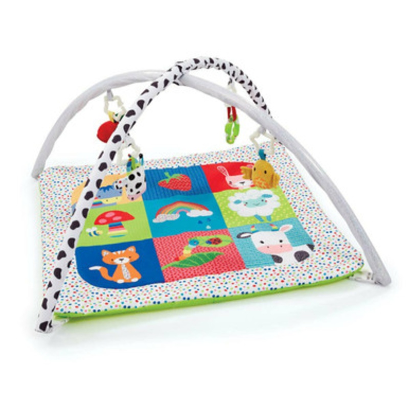 ELC – Blossom Farm Activity Playgym
