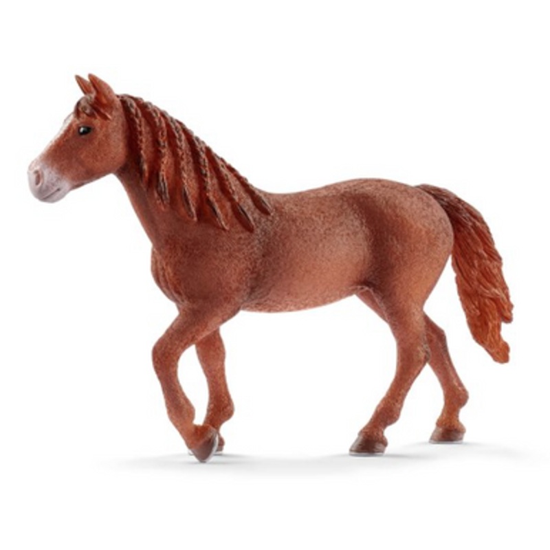 Schleich Horses – Morgan horse Mare 13870