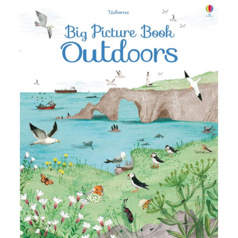 Usborne- Big Picture Book of Outdoors