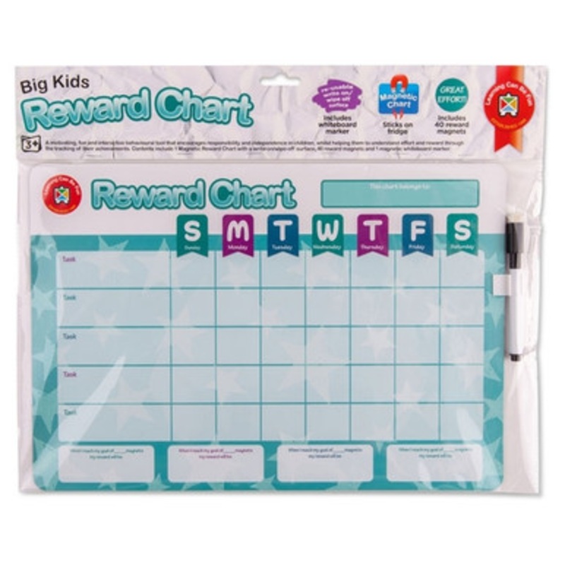 Learning Can Be Fun – Big Kids Reward Chart
