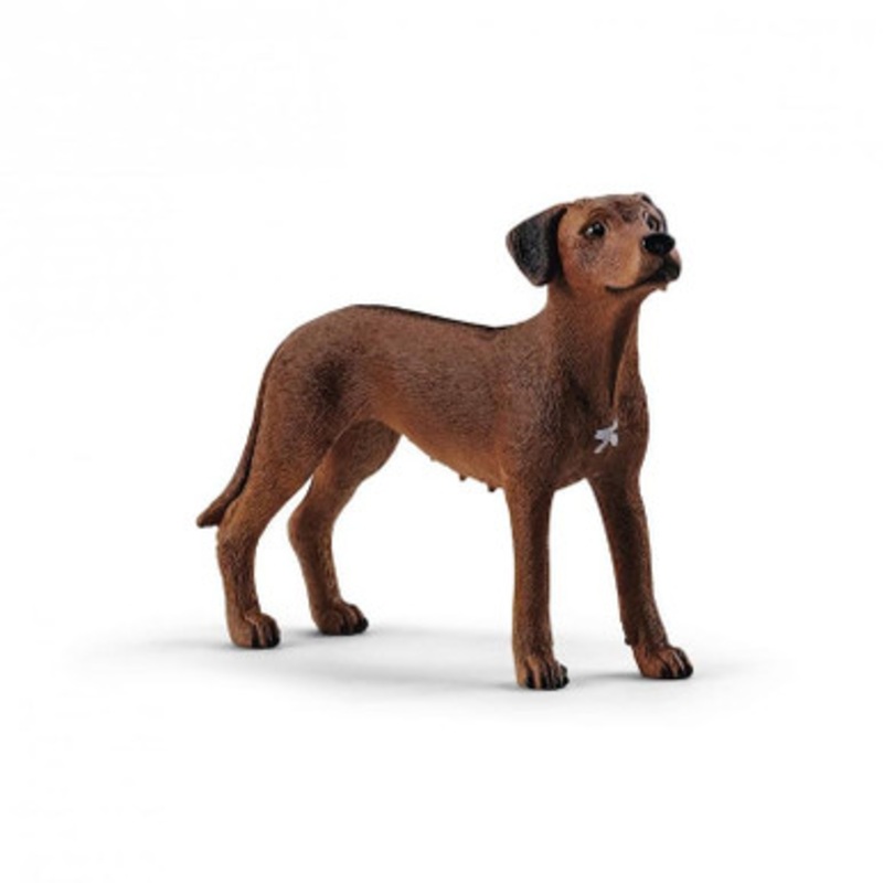 Schleich – Rhodesian Ridgeback 13895