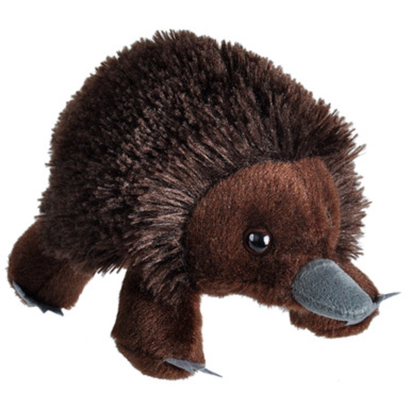 Wild Republic – Hug’ems Mini Echidna 18CM