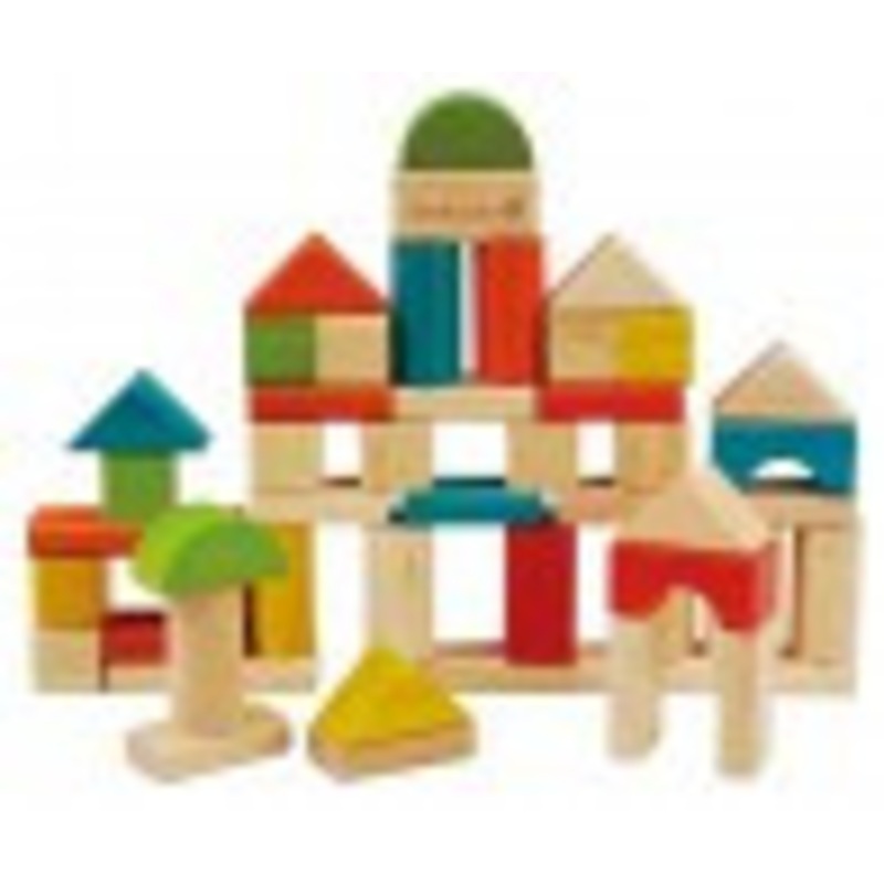 Everearth – 50pc Building Blocks