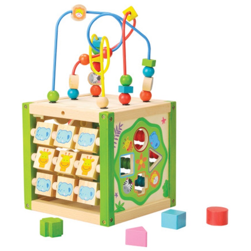 Everearth – My First Multi-Play Activity Cube