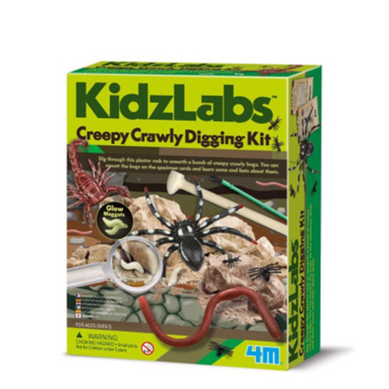 4M – KidzLabs – Creepy Crawly Digging Kit