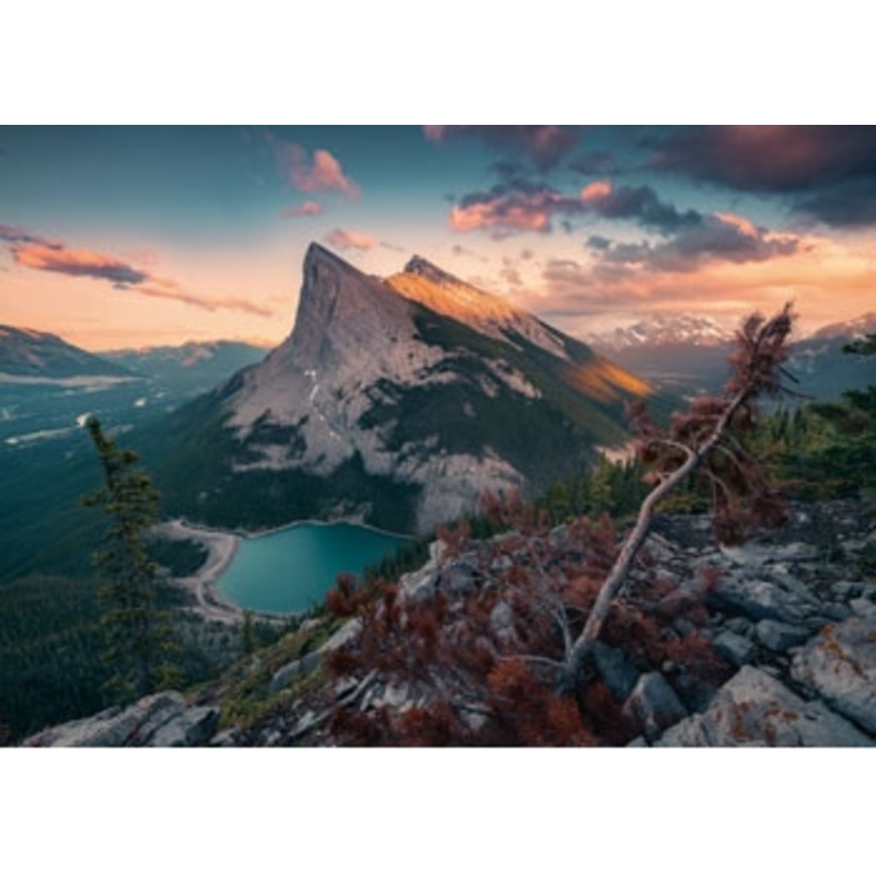 Ravensburger 1000pc – Wild Nature Puzzle