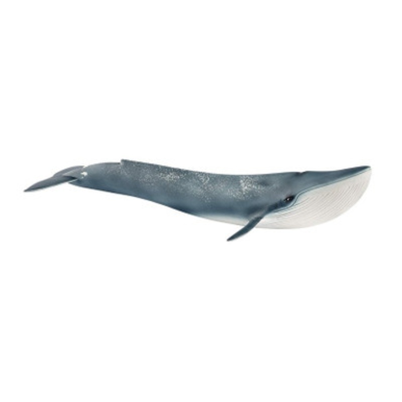 Schleich – Blue Whale 14806