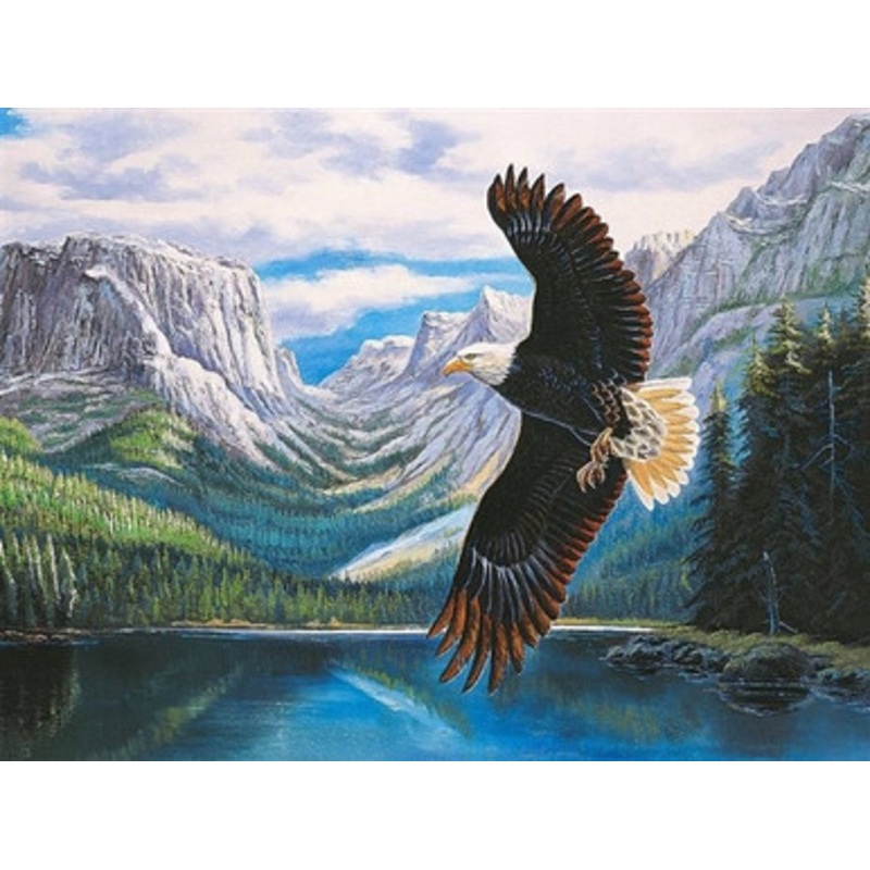 Tomax 1500pc – Searching Puzzle