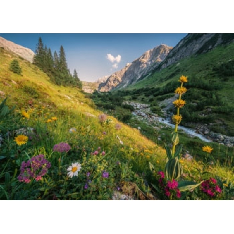 Ravensburger 1000pc – Magical Valley Puzzle