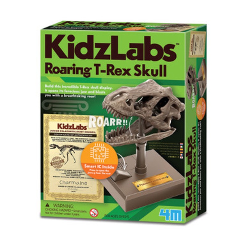 4M – KidzLabs – Roaring T-Rex Skull