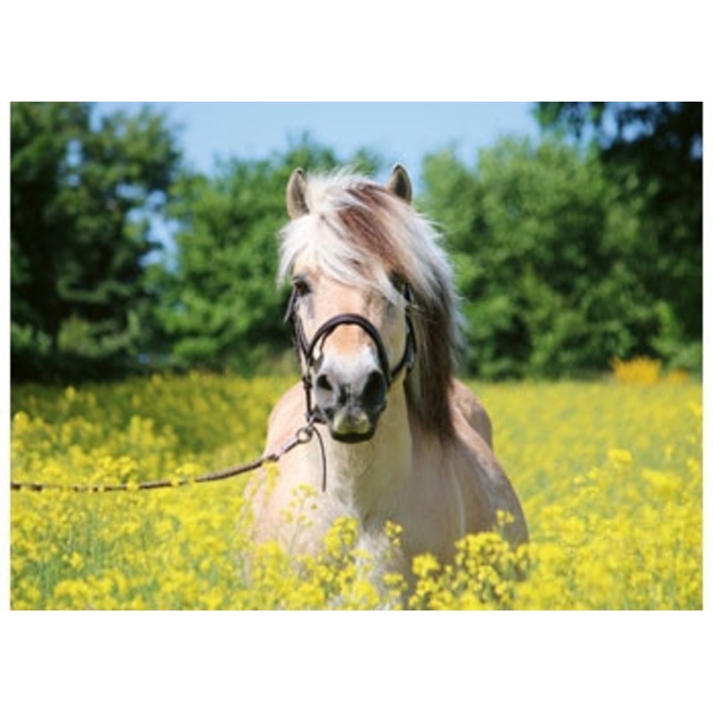 Ravensburger 500pc – White Horse Puzzle