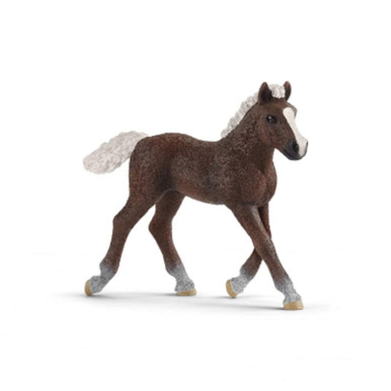 Schleich Horses – Black Forest Foal 13899
