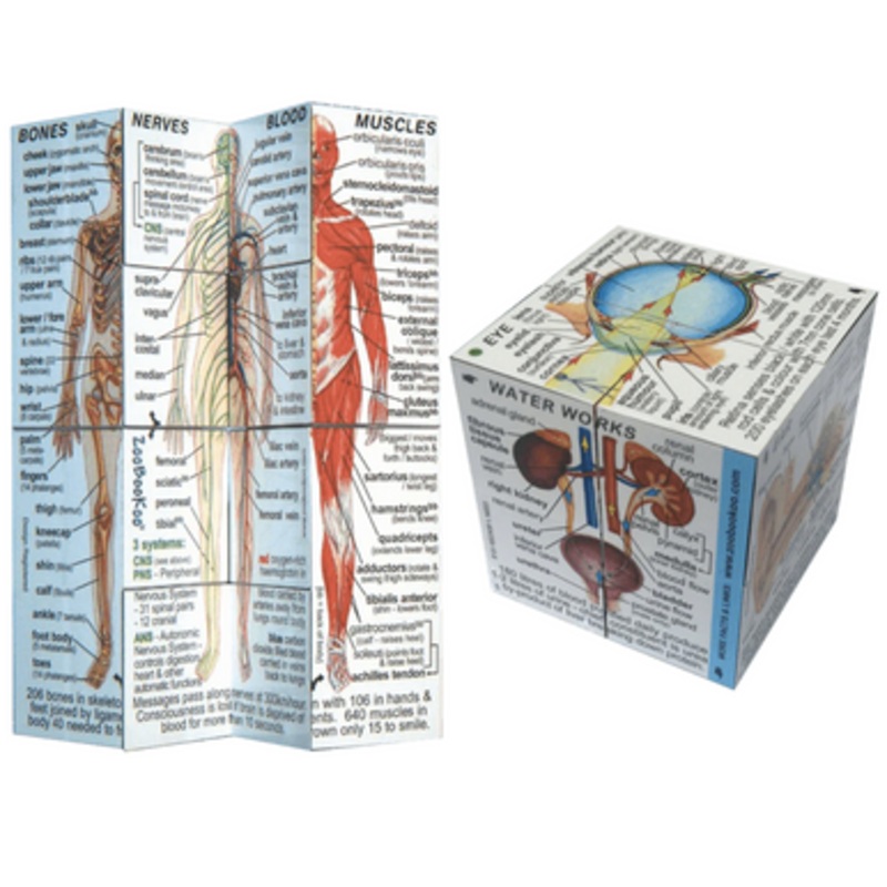 ZooBooKoo – Human Body Anatomy Cube Book