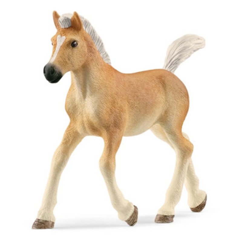 Schleich Horses – Haflinger Foal 13951