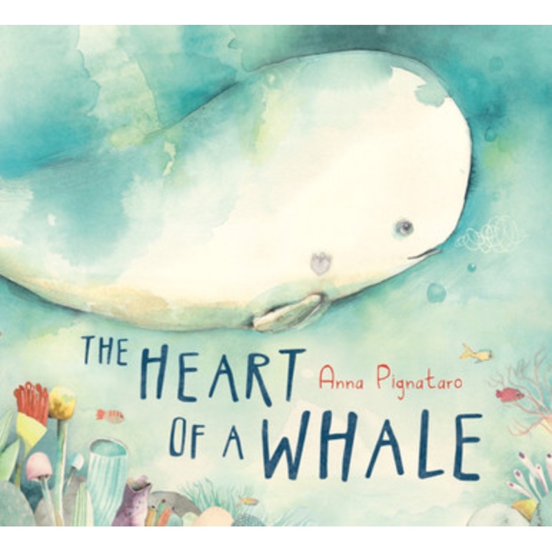 Scholastic – The Heart Of A Whale HB