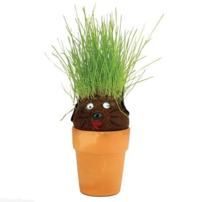 Mrs Green – Pot Head