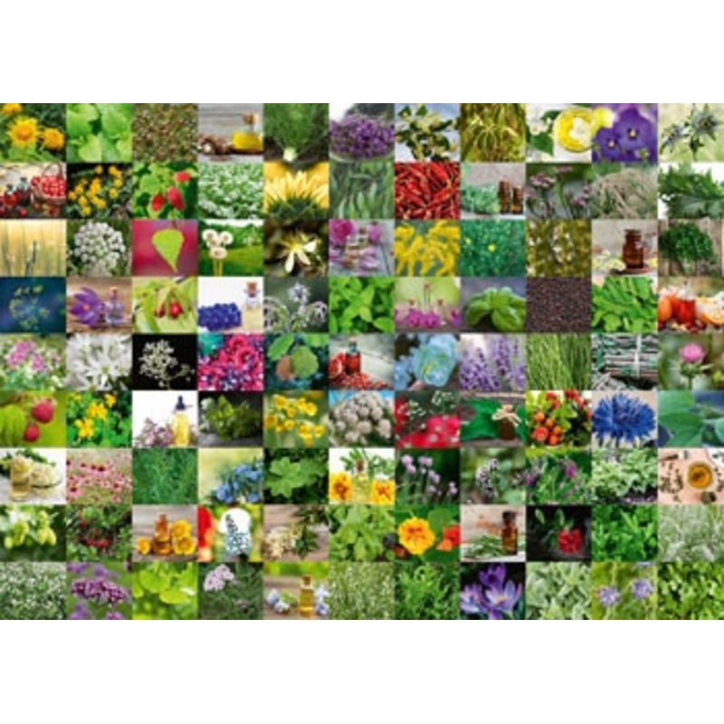 Ravensburger 1000pc – 99 Herbs and Spices Puzzle