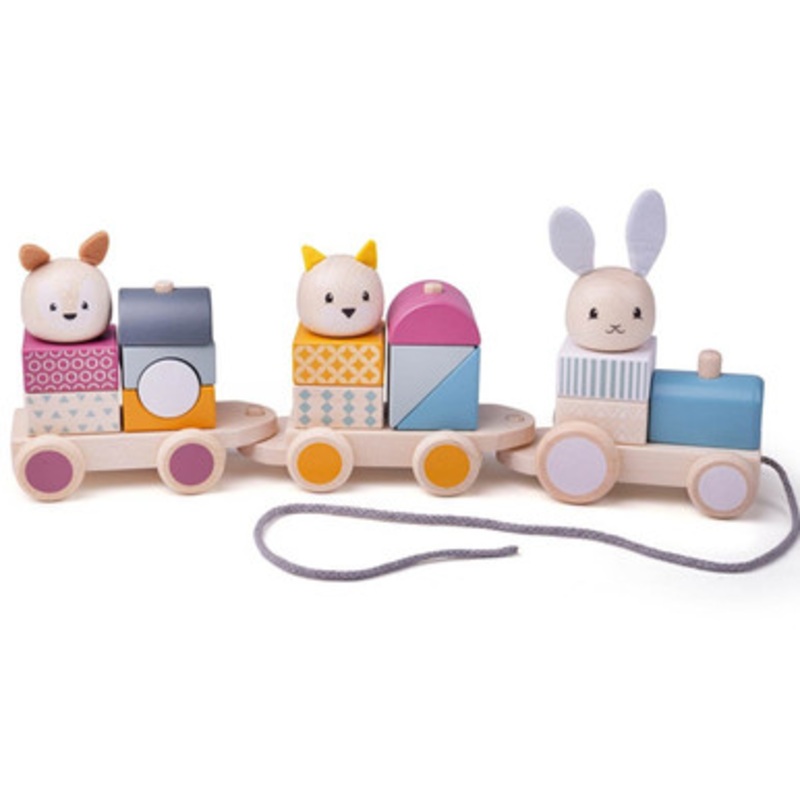 Bigjigs – Activity Pull Along Train