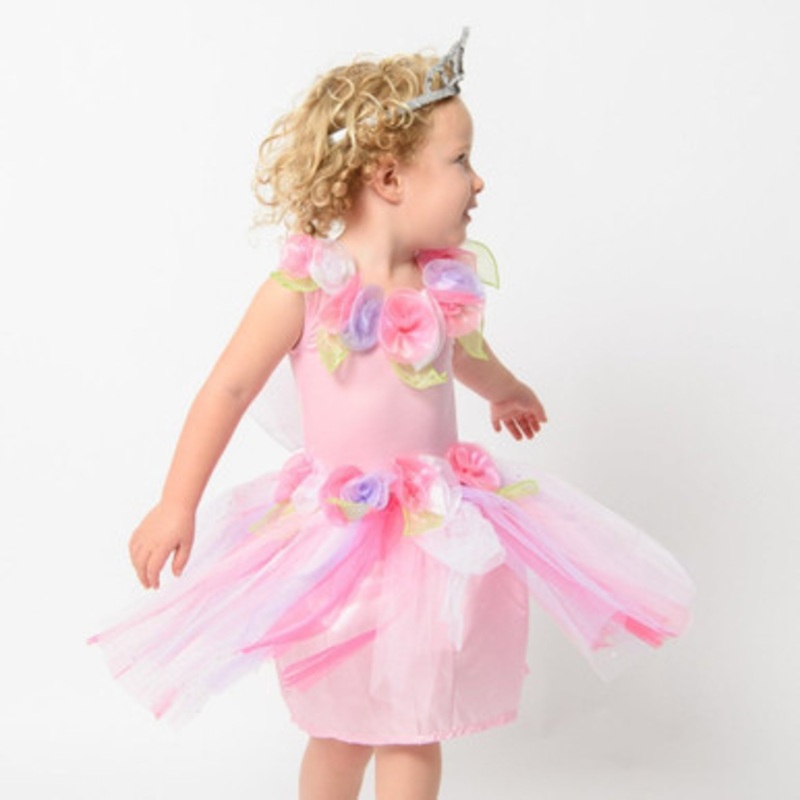 Fairy Girls – Enchanting Fairy Dress Pastel