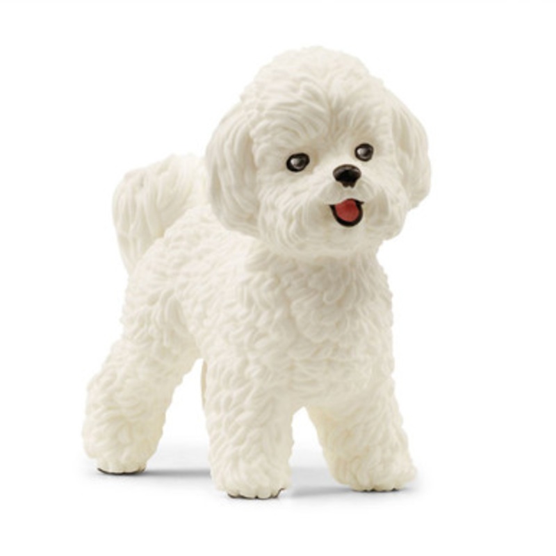 Schleich – Bishon Frise 13963