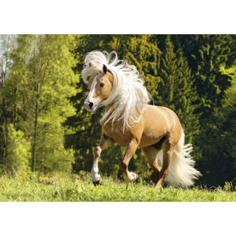Ravensburger 1000pc – Galloping Along! Puzzle