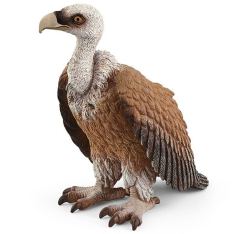 Schleich Wild Life – Vulture | 14847
