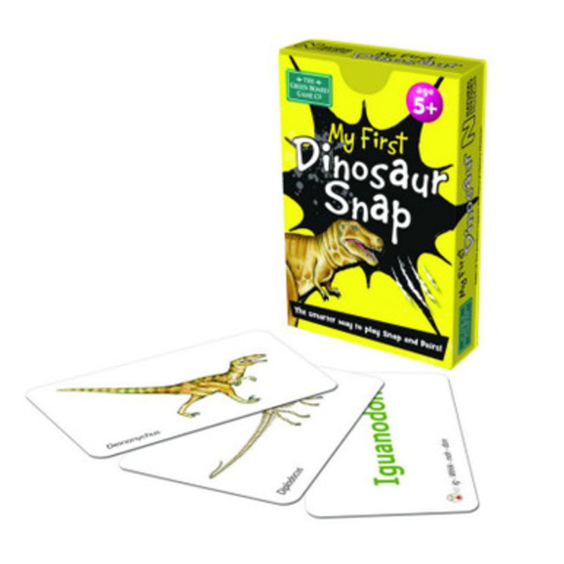 My First Dinosaur Snap Cards