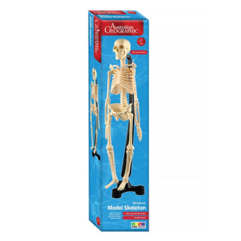 Australian Geographic – Mini Skeleton 46cm